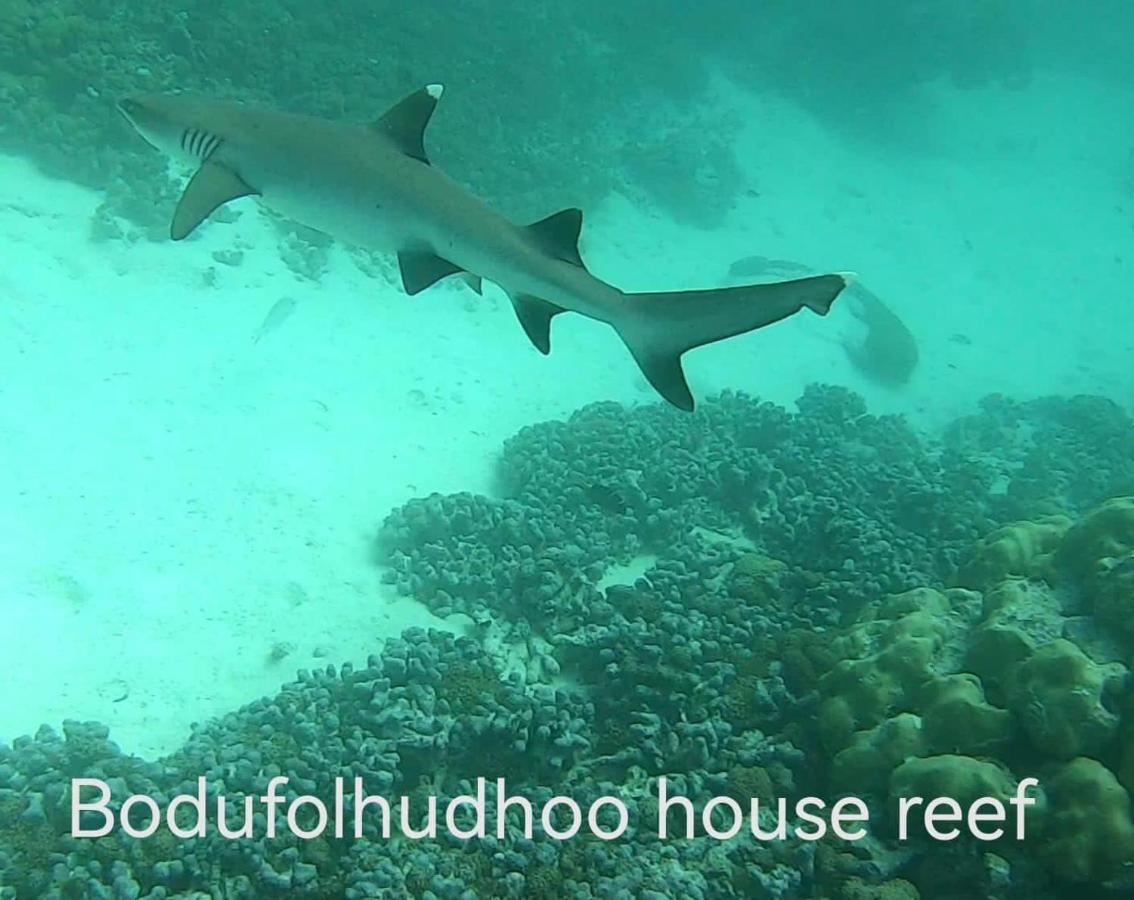 Surfretreat Hotel Bodufolhudhoo Eksteriør billede