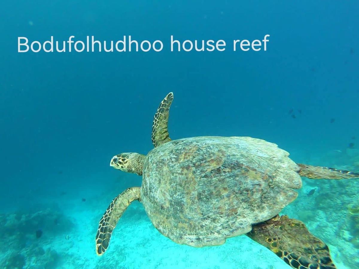 Surfretreat Hotel Bodufolhudhoo Eksteriør billede