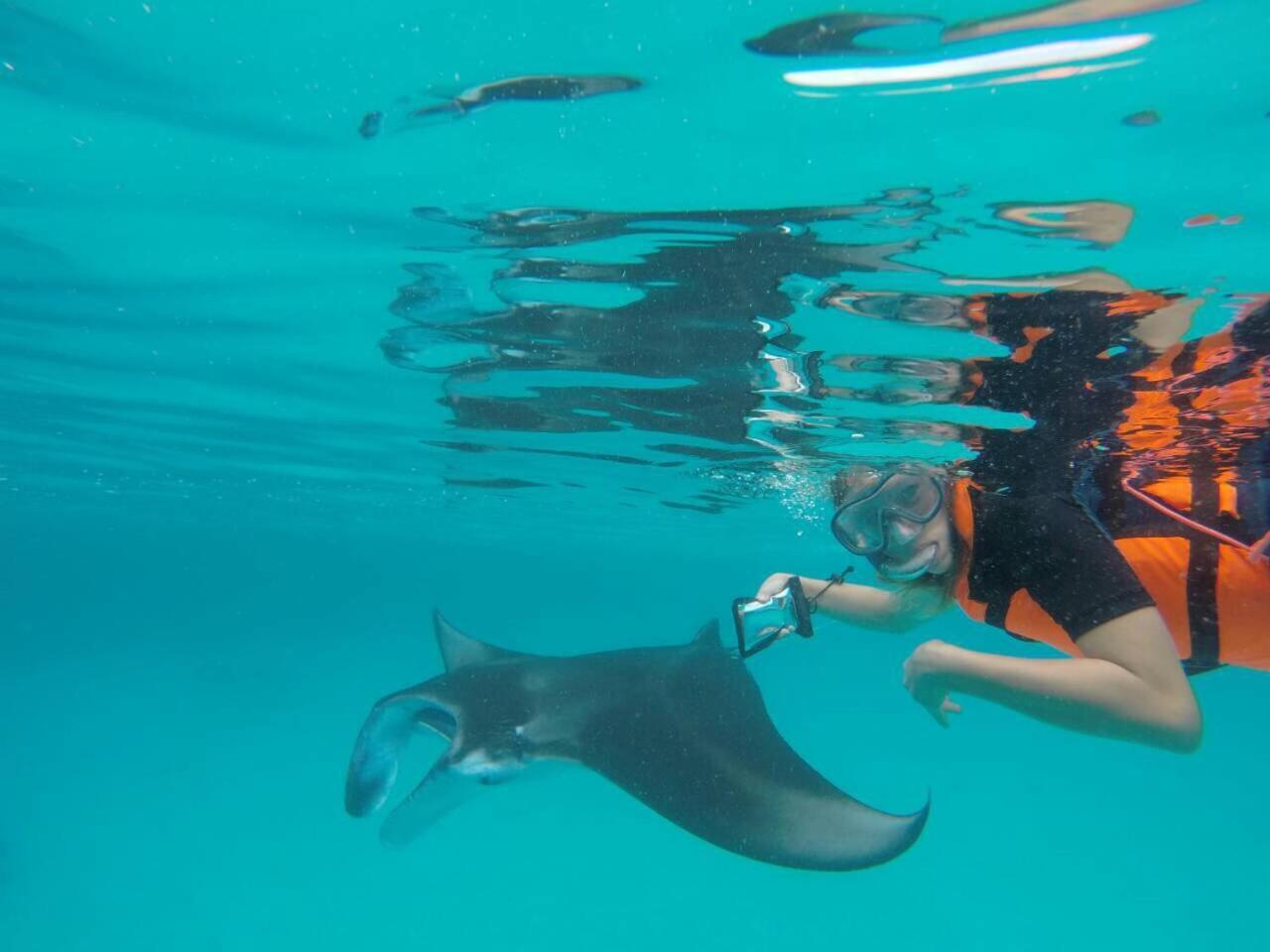 Surfretreat Hotel Bodufolhudhoo Eksteriør billede